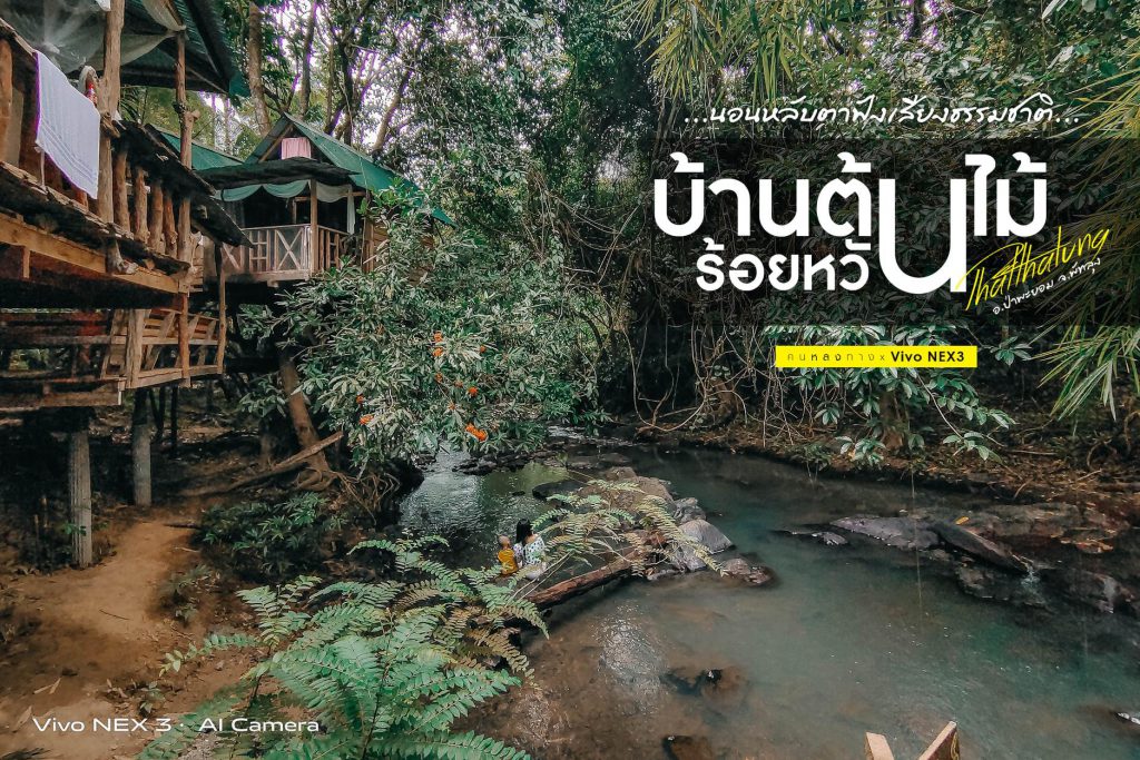 บ้านต้นไม้ร้อยหวัน นอนหลับตาฟังเสียงธรรมชาติ… - ค น ห ล ง ท า ง