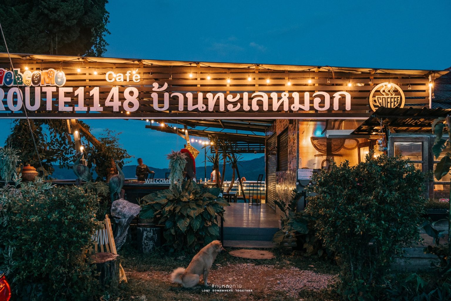 บ้ า น ท ะ เ ล ห ม อ ก 🌿 Route 1148 พะเยา-น่าน - ค น ห ล ง ท า ง